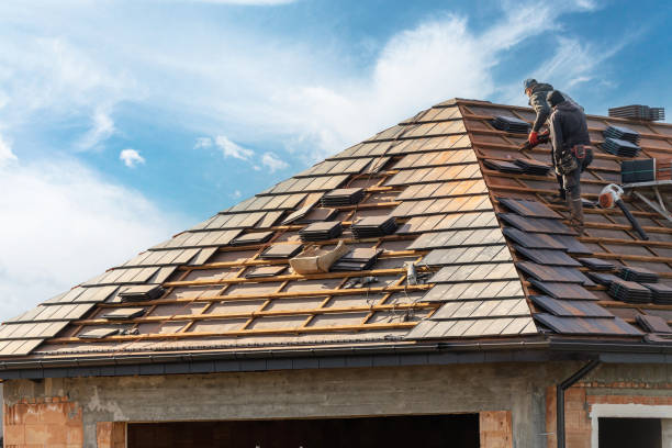 Best Roof Coating Services  in Cicero, IL