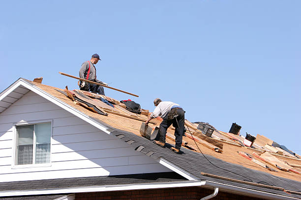 Best Gutter Installation and Repair  in Cicero, IL